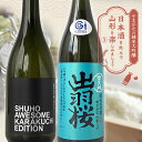【ふるさと納税】 やまがたの純米大吟醸 「日本酒を飲んで山形をたのしみましょう」≪3≫ F2Y-3553