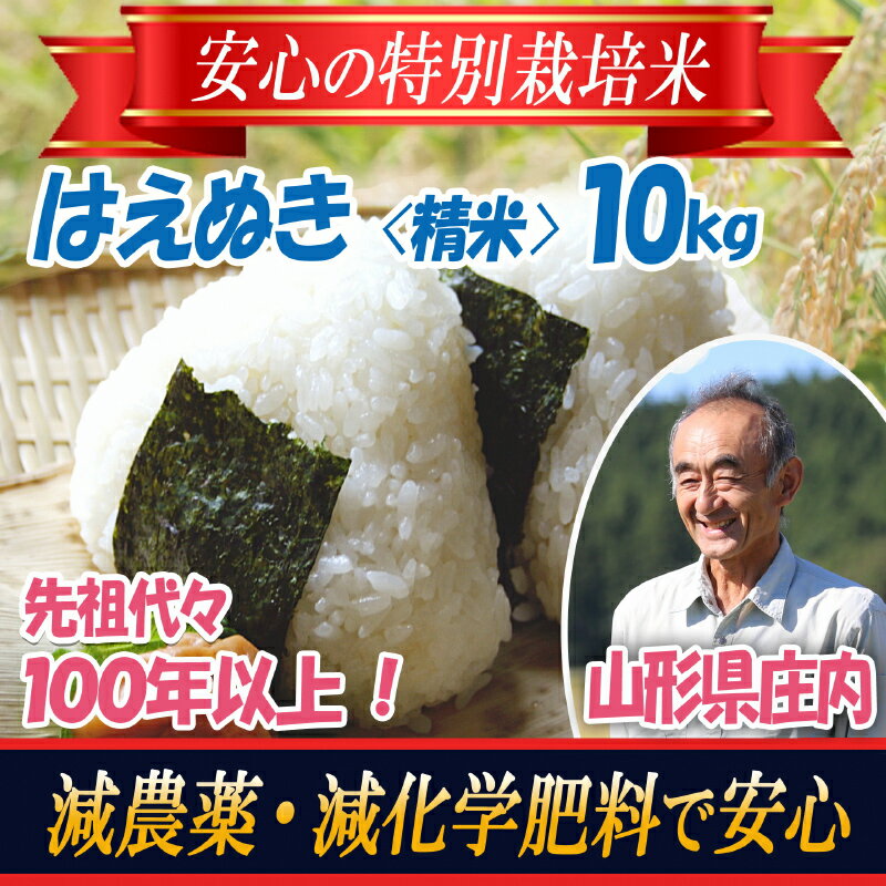 【令和5年産米】特別栽培米 はえぬき 精米10kg 山形県庄内 農薬5割減 F2Y-3668