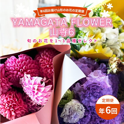 年6回お届け山形のお花の定期便 YAMAGATA FLOWER 山寺6 F2Y-3726