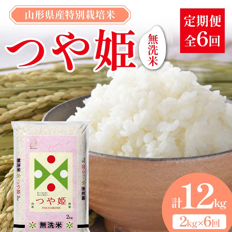 【ふるさと納税】山形県産 特別栽培米 無洗米 つや姫 2kg（BG無洗米） 全6回定期便 F2Y-3739