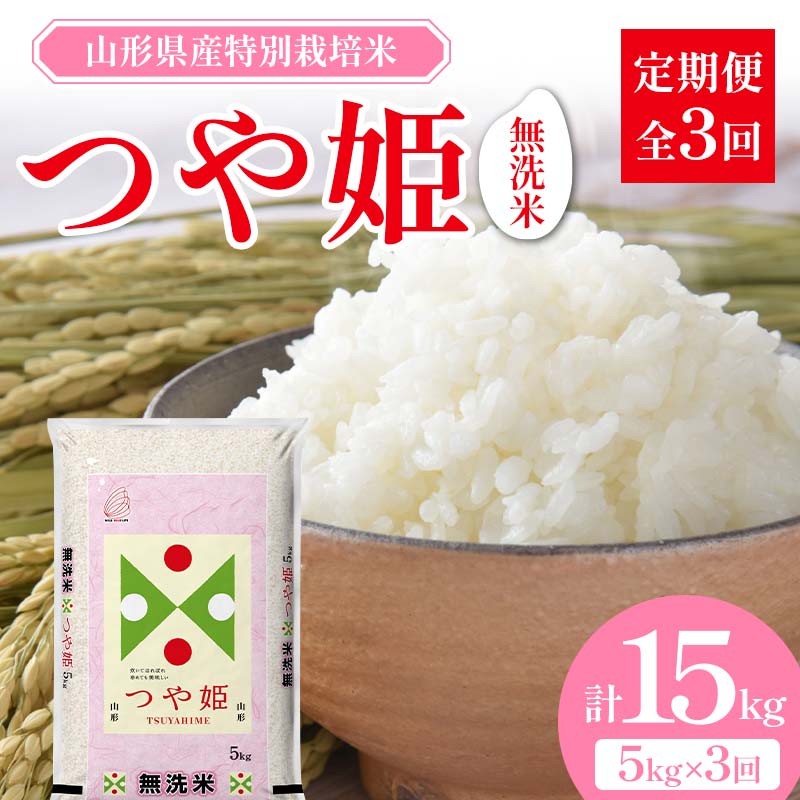 【ふるさと納税】山形県産 特別栽培米 無洗米 つや姫 5kg（BG無洗米） 全3回定期便 F2Y-3741