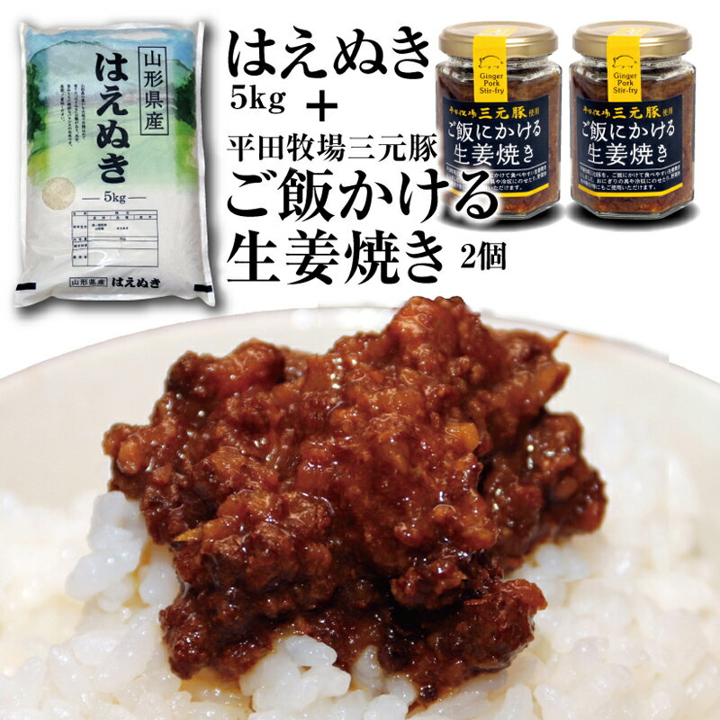 令和5年産庄内米「はえぬき5kg」とご飯のお供「平田牧場三元豚 ご飯にかける生姜焼き2個」セット