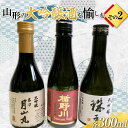 【ふるさと納税】 山形の大吟醸酒を愉しむ その2 F2Y-3824