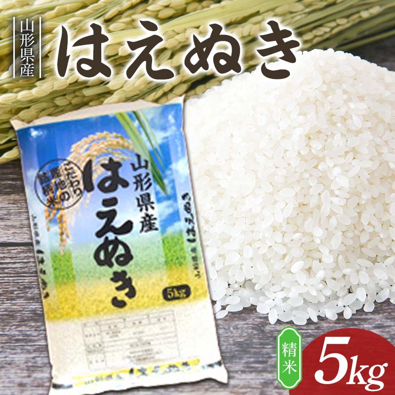 新米 はえぬき 5kg 山形県産 精米 [令和7年産]