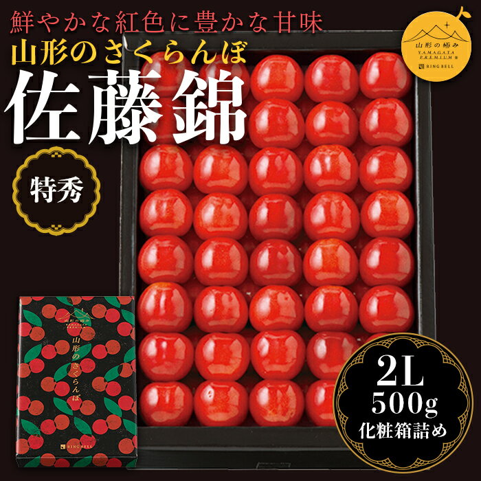 《先行予約》【山形の極み】さくらんぼ佐藤錦 500g 化粧詰 F2Y-5175