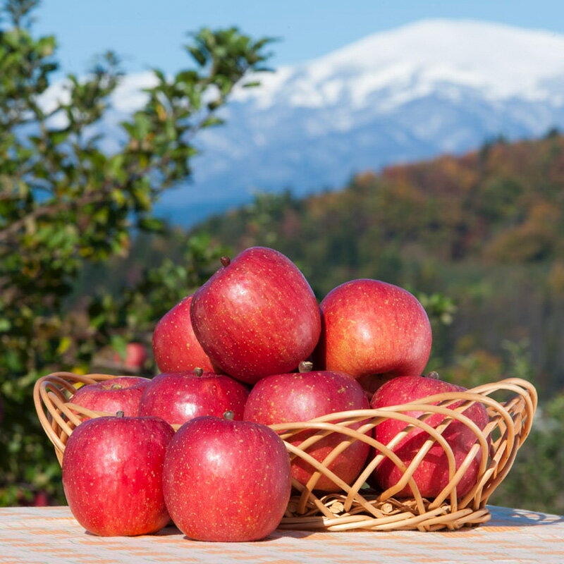 【ふるさと納税】 《先行予約》2024年 山形県産 蜜入り 高徳りんご 約2kg(6～12玉) 2024年10月下旬から順次発送 F2Y-5348