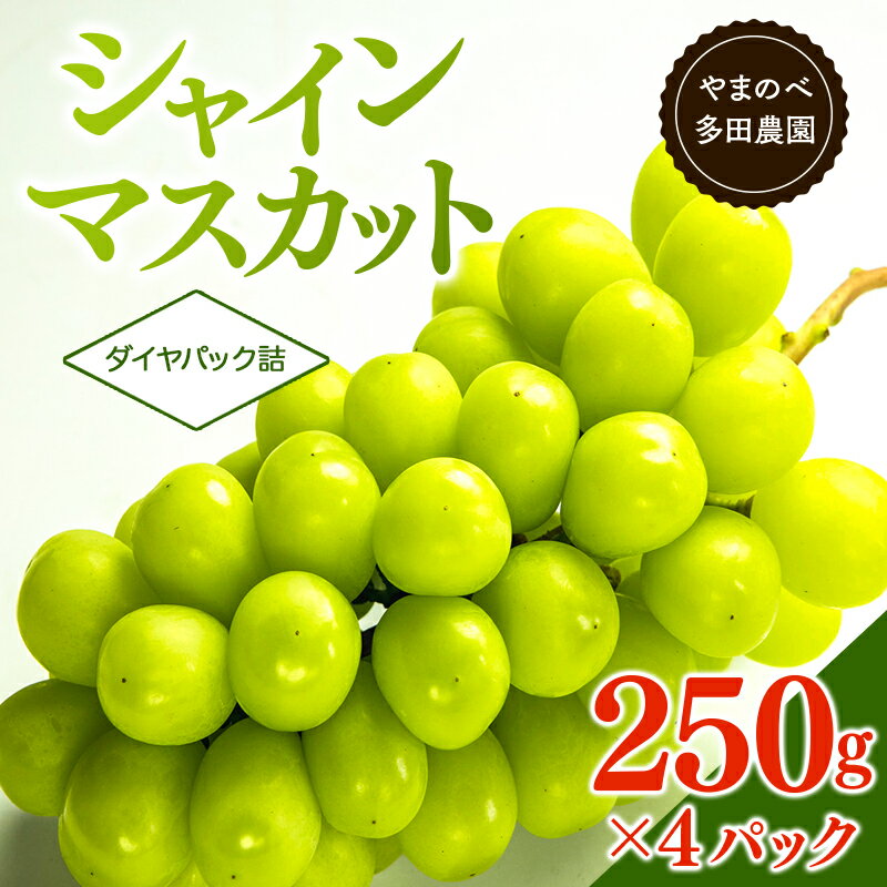 【ふるさと納税】 シャインマスカット ダイヤパック250gx4パック やまのべ多田農園のぶどう F2Y-5434 3