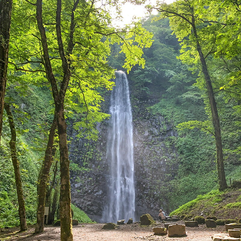 【ふるさと納税】定期便 3回《水の郷百選》山形県 鳥海山 氷河水（ひょうがすい） 2L×12本×3 回 天然水 ミネラルウォーター F2Y-5453