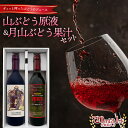 【ふるさと納税】 山ぶどう原液・月山ぶどう果汁セット (720ml 各1本) 化粧箱入り F2Y-5572