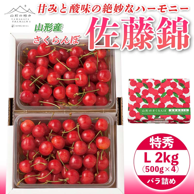 【ふるさと納税】 《先行予約》贈答用 2024年 山形県産 さくらんぼ 佐藤錦 特秀 L バラ詰 1kg×2 F2Y-5652