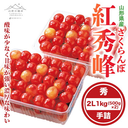 《先行予約》贈答用 2024年 山形県産 さくらんぼ 紅秀峰 2L 手詰 500g×2 F2Y-5667