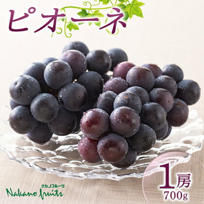 【仲野観光果樹園】《先行予約》2024年 山形県産 ピオーネ 秀品 1房(700g) 2024年8月下旬から順次発送 F2Y-5817