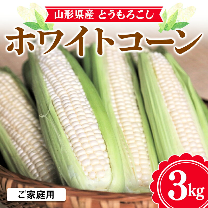 【ふるさと納税】【お天道農園】農業者支援 ご家庭用 2024年 山形県産 ホワイトコーン 3kg 2024年7月中旬から順次発送 とうきび トウキビ とうもろこし トウモロコシ コーン 野菜 食品 山形県 F2Y-5890のサムネイル