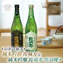 【ふるさと納税】【山形の極み】純米吟醸 霞城寿&純米吟醸 霞城寿 出羽燦々 各720ml×1本 F2Y-6070