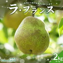 【ふるさと納税】【仲野観光果樹園】≪2025年先行予約≫贈答用 山形県産 西洋梨 ラ・フランス 2kg (6〜7玉) 秀品 2025年11月上旬から順次発送 F...