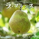 【ふるさと納税】【仲野観光果樹園】≪2025年先行予約≫贈答用 山形県産 西洋梨 ラ・フランス 3kg (9〜10玉) 秀品 2025年11月上旬から順次発送 ...