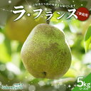 【ふるさと納税】【仲野観光果樹園】≪2025年先行予約≫ご家庭用 山形県産 西洋梨 ラ・フランス 5kg (12〜20玉) 2025年11月上旬から順次発送 F...