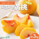 【ふるさと納税】【仲野観光果樹園】≪2025年先行予約≫ご家庭用 山形県産 おまかせ 黄桃 約3kg(6〜12玉) 2025年8月上旬から順次発送 F2Y-61...
