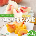 【ふるさと納税】【仲野観光果樹園】≪2025年先行予約≫ご家庭用 山形県産 おまかせ 白桃 黄桃 2種詰合せ 約3kg(6〜12玉) 2025年8月上旬から順次...