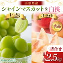 【ふるさと納税】【仲野観光果樹園】≪2025年先行予約≫贈答用 山形県産 シャインマスカット 白桃 詰合せ 約2.5kg 秀品 2025年9月中旬から順次発送 ...