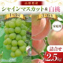 【ふるさと納税】【仲野観光果樹園】≪2025年先行予約≫ご家庭用 山形県産 シャインマスカット 白桃 詰合せ 約2.5kg 2025年9月中旬から順次発送 F2...