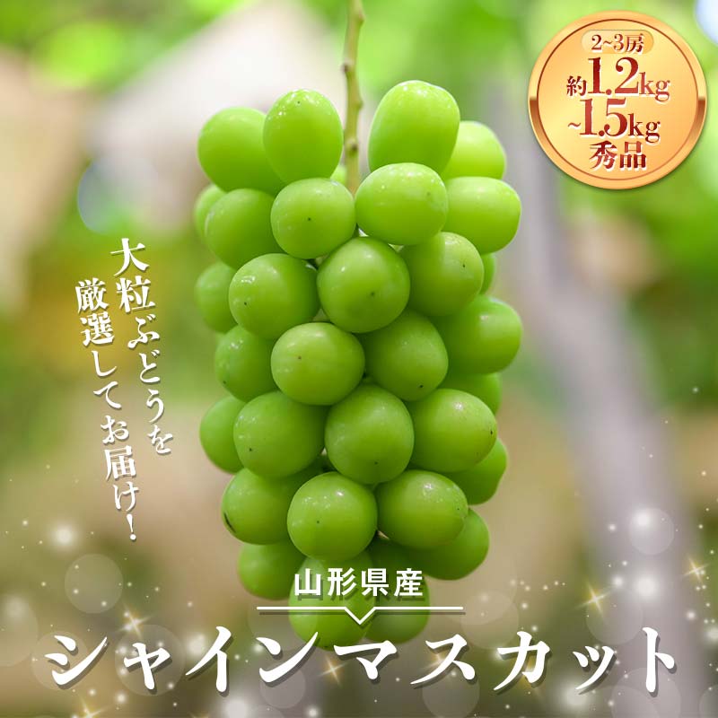 [安達農園]≪2025年先行予約≫山形県産 大粒ぶどう シャインマスカット [選べる容量 約1.2kg(2房)/約1.5kg(2〜3房)] 秀品 2025年9月中旬から順次発送 F2Y-6146var