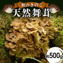 【ふるさと納税】 秋のきのこ 天然舞茸 約500g F2Y-6173