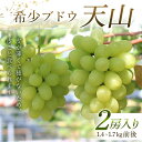 【ふるさと納税】 希少ブドウ 天山 2房入り 1.4~1.7kg前後 F2Y-6174(4)
