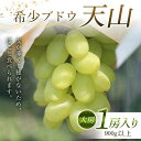 【ふるさと納税】 希少ブドウ 天山 大房 1房入り 900g以上 F2Y-6175