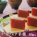 【ふるさと納税】 【山形の極み】銘菓の『錦屋』 和菓子 デラウェア 羊羹 10個入り 山形県置賜産デラウェア使用! 個包装 F2Y-6261