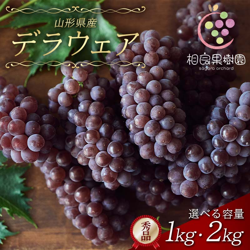 ≪2026年先行予約≫[相良果樹園]贈答用 山形県産 種無しぶどう デラウェア [選べる容量]1kg(5〜6房)/2kg(9〜12房) 秀品 個包装 2026年7月上旬から順次発送 F2Y-6511var