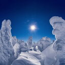 【ふるさと納税】 山形県民の宝である「樹氷」の復活!樹氷復活・育成応援事業(返礼品なし) F2Y-9484