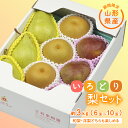 261位! 口コミ数「2件」評価「5」《先行予約 2025年度発送》【王将果樹園】いろどり梨セット なし ナシ 梨 デザート フルーツ 果物 くだもの 果実 食品 山形県 FSY-0075