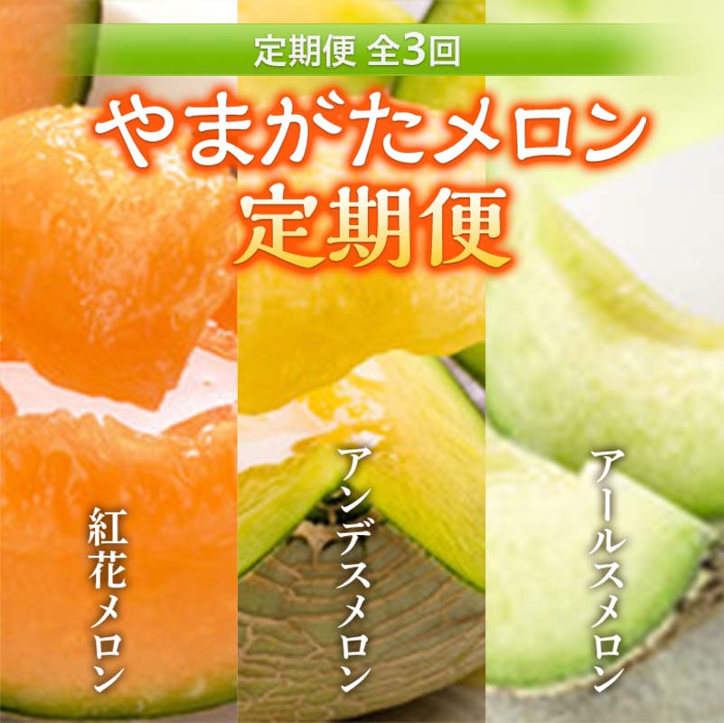 [2025年発送先行予約]やまがたメロン定期便(全3回)