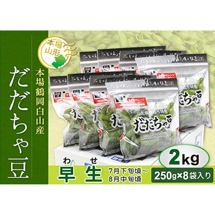 《先行予約 2024年度発送》鶴岡白山産 だだちゃ豆(早生) 2kg FSY-0143