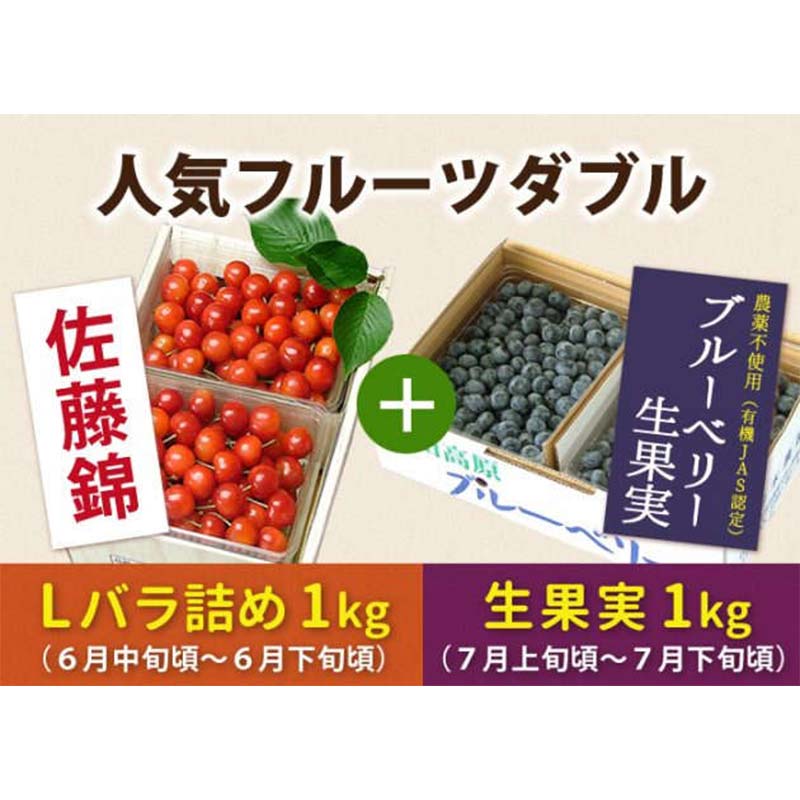 【ふるさと納税】 《先行予約 2025年度発送》山形人気フルーツダブル(さくらんぼ佐藤錦1kg &ブルーベリー生果実1kg) FSY-0149