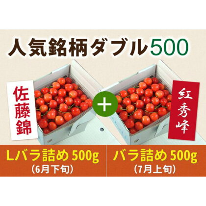 《先行予約 2024年度発送》【頒布会】さくらんぼ人気銘柄ダブル500(佐藤錦&紅秀峰) FSY-0155