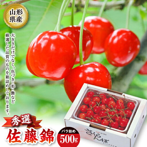 【ふるさと納税】 《先行予約 2025年度発送》佐藤錦 秀選バラ詰め【500g】 FSY-2205 【ふるさと納税】 《先行予約 2025年度発送》佐藤錦 秀選バラ詰め【500g】 FSY-2205