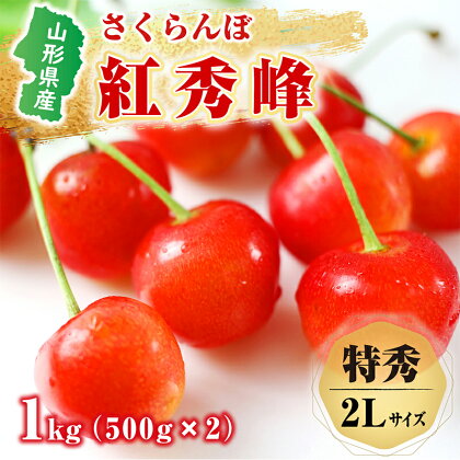 《先行予約 2024年度発送》山形県産さくらんぼ（紅秀峰）1kg（500g×2パック） FSY-0227