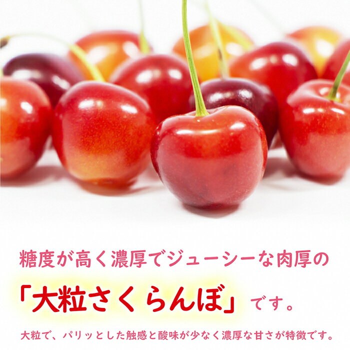 【ふるさと納税】 《先行予約 2024年度発送》山形県産さくらんぼ（紅秀峰）1kg（500g×2パック） FSY-0227