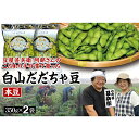 【ふるさと納税】 【先行予約 2025年8月発送】こだわり手作業で育った 山形県産だだちゃ豆 本豆 350g×2袋 豆類 豆 野菜 食品 山形県 FSY-0341