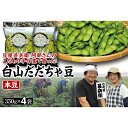 【ふるさと納税】 【先行予約 2024年8月発送】こだわり手作業で育った 山形県産だだちゃ豆 本豆 350g×4袋 FSY-0342