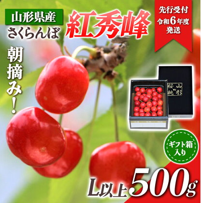 【先行受付令和6年度発送】山形県産 朝摘みさくらんぼ 紅秀峰500g ギフト箱入り FSY-0346