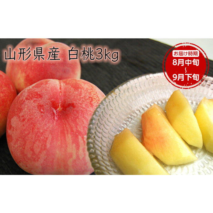 【ふるさと納税】《先行予約 2025年度発送》【山形県産】白桃3kg(7~12玉) もも モモ 桃 デザート フルーツ 果物 くだもの 果実 食品 山形県 FSY-0386