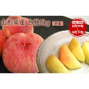 【ふるさと納税】《先行予約 2025年度発送》【山形県産】白桃5kg(小玉20~25玉) もも モモ 桃 デザート フルーツ 果物 くだもの 果実 食品 山形県 FSY-0390