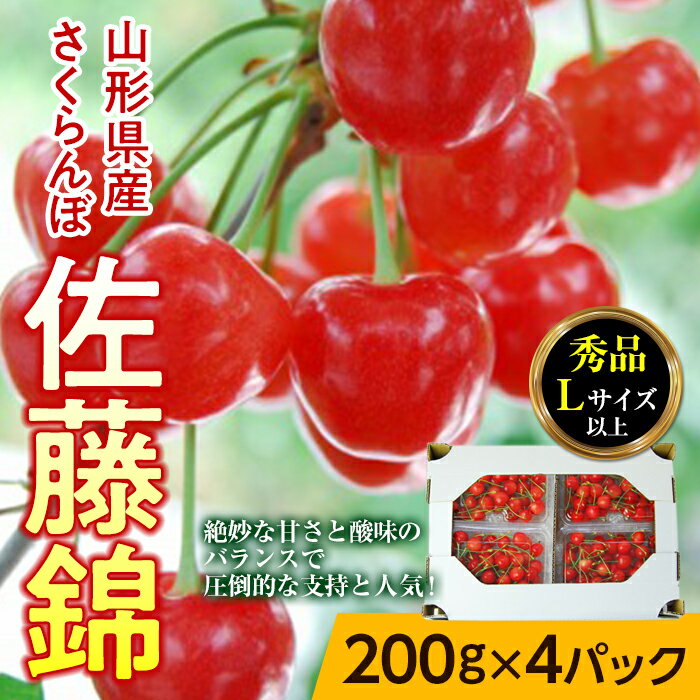 [先行予約 2024年度発送]山形県産さくらんぼ佐藤錦800g(200g×4パック)