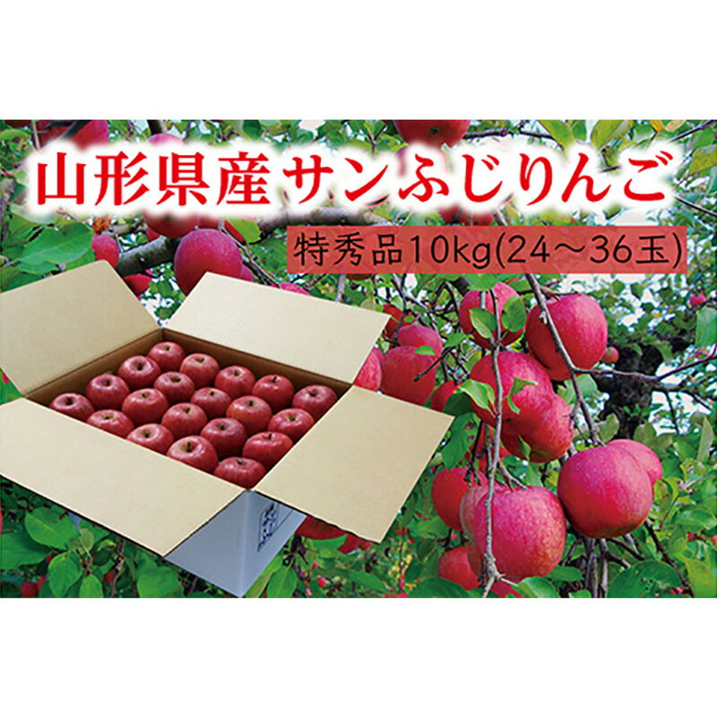 【ふるさと納税】《先行予約 2024年度発送》【山形県産】サンふじりんご特秀品10kg FSY-0403