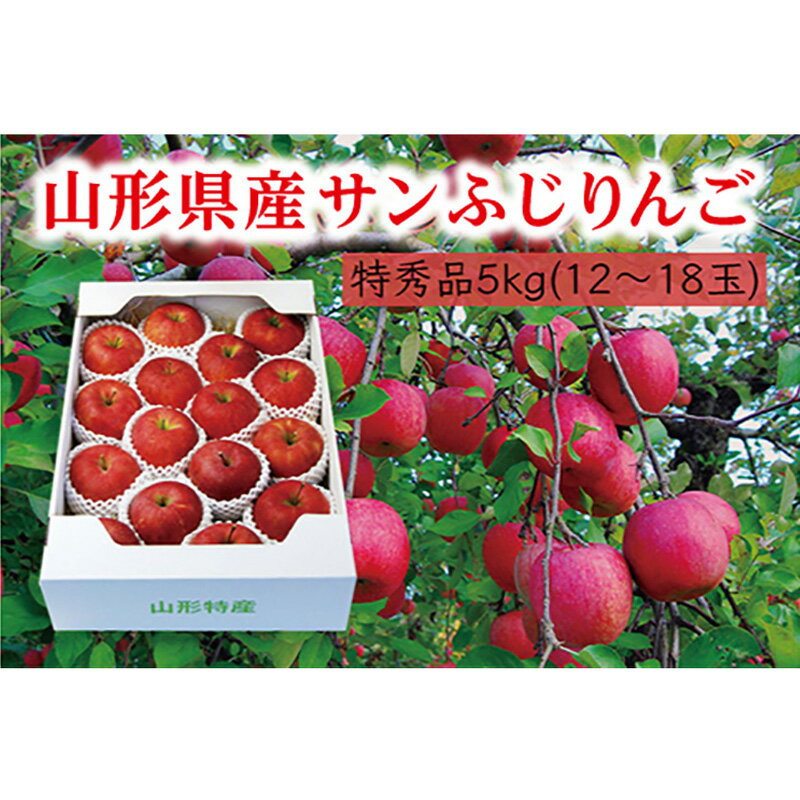 【ふるさと納税】《先行予約 2024年度発送》【山形県産】サ