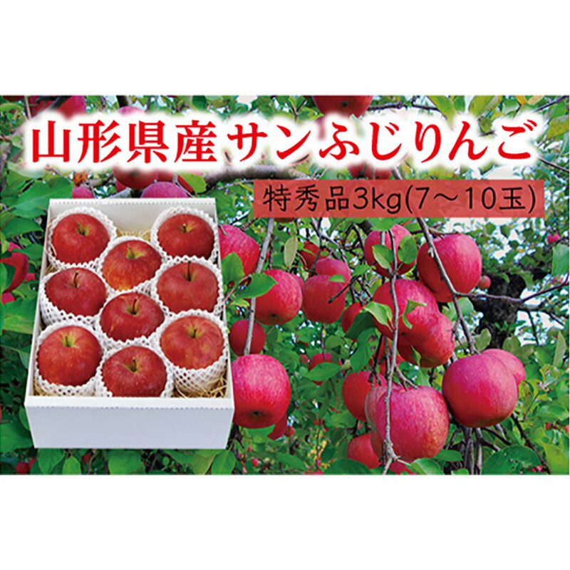 [先行予約 2025年度発送][山形県産]サンふじりんご特秀品3kg りんご リンゴ 林檎 デザート フルーツ 果物 くだもの 果実 食品 山形県