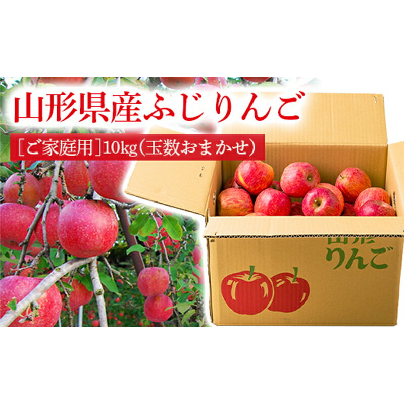 ・ふるさと納税よくある質問はこちら ・寄附申込みのキャンセル、返礼品の変更・返品はできません。あらかじめご了承ください。山形県は昼夜の温度差が大きく、また、りんごの美味しくなる時期と収穫期がぴったりと合致する、りんごの栽培にとても恵まれた地域です。りんごの栽培に適した地域であるため、美味しいふじりんごが収穫されるといわれています。 りんご生産者が丹精込めて大切に育てた山形産ふじりんごの甘さと酸味、みずみずしい味わい、シャリっとした食感をどうぞお楽しみください。 果樹王国山形の中でも特に果物の栽培が盛んな、山形県東根市産の【ご家庭用】ふじりんごをたっぷり10kgお届けいたします。 太陽の日差しをたっぷりと浴びたサンふじりんごの中でも、厳選した特秀品をお届けします。 ※こちらの商品はサンふじりんごです。 ※こちらのお礼の品は、ご家庭用ですので、形の不揃いなもの、軸割れ、色むら、変形のあるものなどが含まれます。 ※パッケージ・梱包資材が変更になる場合がございます。予めご了承ください。 ※画像はイメージです。 形の不揃い、軸割れ、色むら、変形などありますが、ふじりんごの甘さと酸味、みずみずしい味わいは変わりありません。 【ご家庭用】としてお召し上がりください。 商品説明 内容量：ご家庭用山形県東根市産サンふじりんご 10kg（玉数おまかせ） 申込条件：オンライン決済限定 お申し込み： 2024年12月31日まで お届け： 2024年11月下旬頃～2025年1月下旬頃 アレルギー：りんご 配送：常温 提供元：山形うまいずマーケット 「ふるさと納税」寄附金は、下記の事業を推進する資金として活用してまいります。 寄附を希望される皆さまの想いでお選びください。 1. 次代を担い地域を支える人材の育成・確保 2. 競争力のある力強い農林水産業の振興・活性化 3. 高い付加価値を創出する産業経済の振興・活性化 4. 県民が安全・安心を実感し、総活躍できる社会づくり 5. 未来に向けた発展基盤となる県土の整備・活用 6. 自治体におまかせ 申請書を受領証明書と一緒にお送りしますので、必要情報を記載の上、返信用封筒に切手を貼付いただきご返送ください。 入金確認後、注文内容確認画面の【注文者情報】に記載の住所に45日以内に発送いたします。(年末年始を除く)